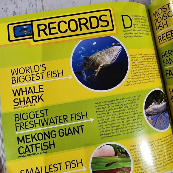 National Geographic Animal Encyclopedia - Picture 10 of 15